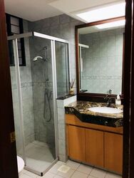 Carissa Park Condominium (D17), Condominium #496105491